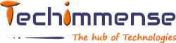 Techimmense Software Solution logo